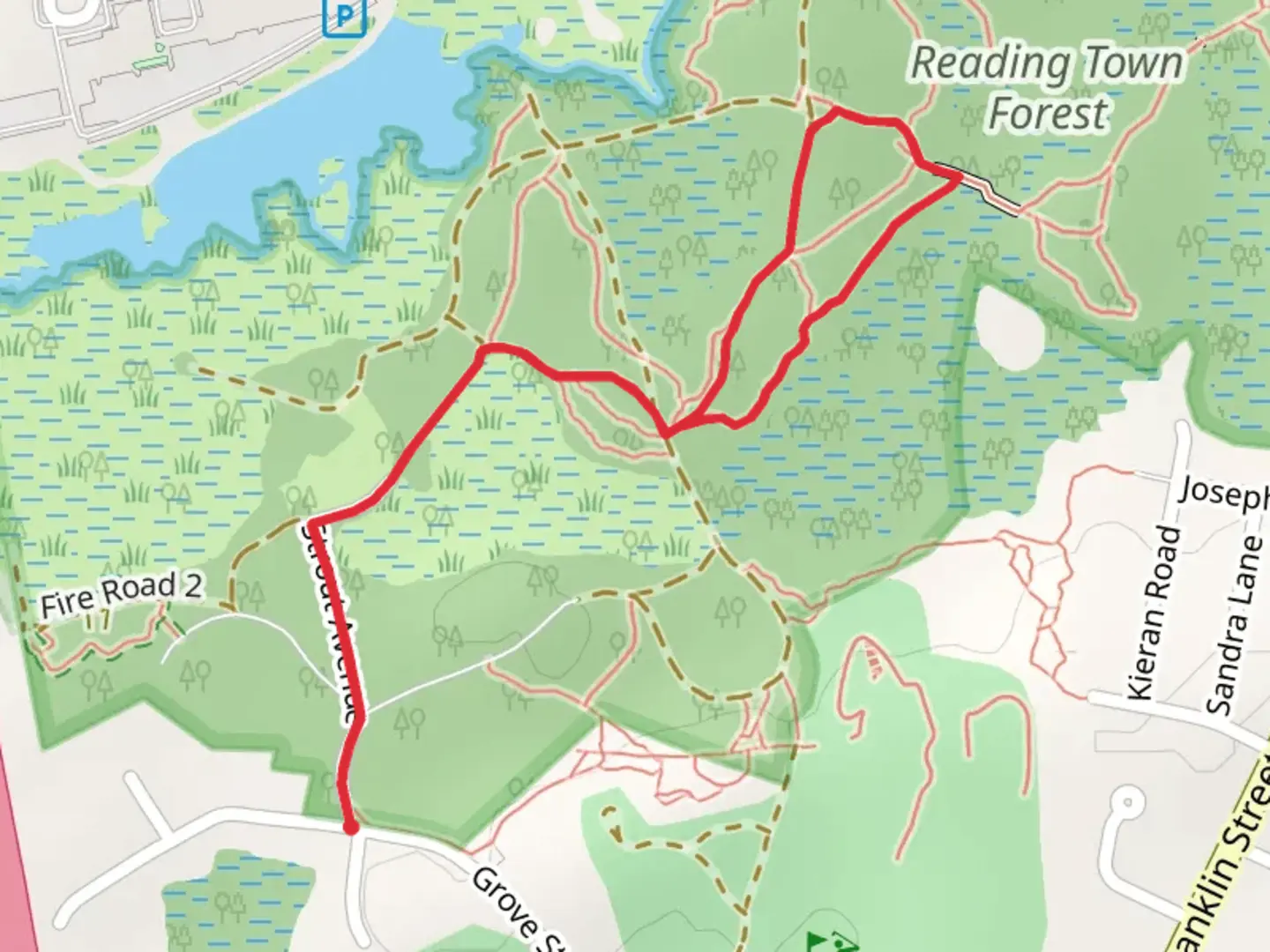 An image depicting the trail Strout Avenue - Town Forest Loop Trail and its surrounding area.