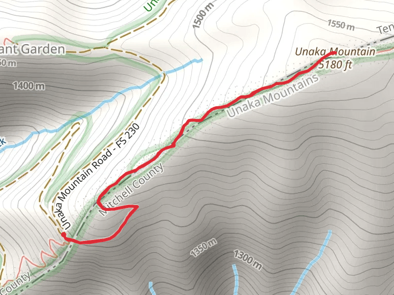 Unaka Mountain via Appalachian Trail