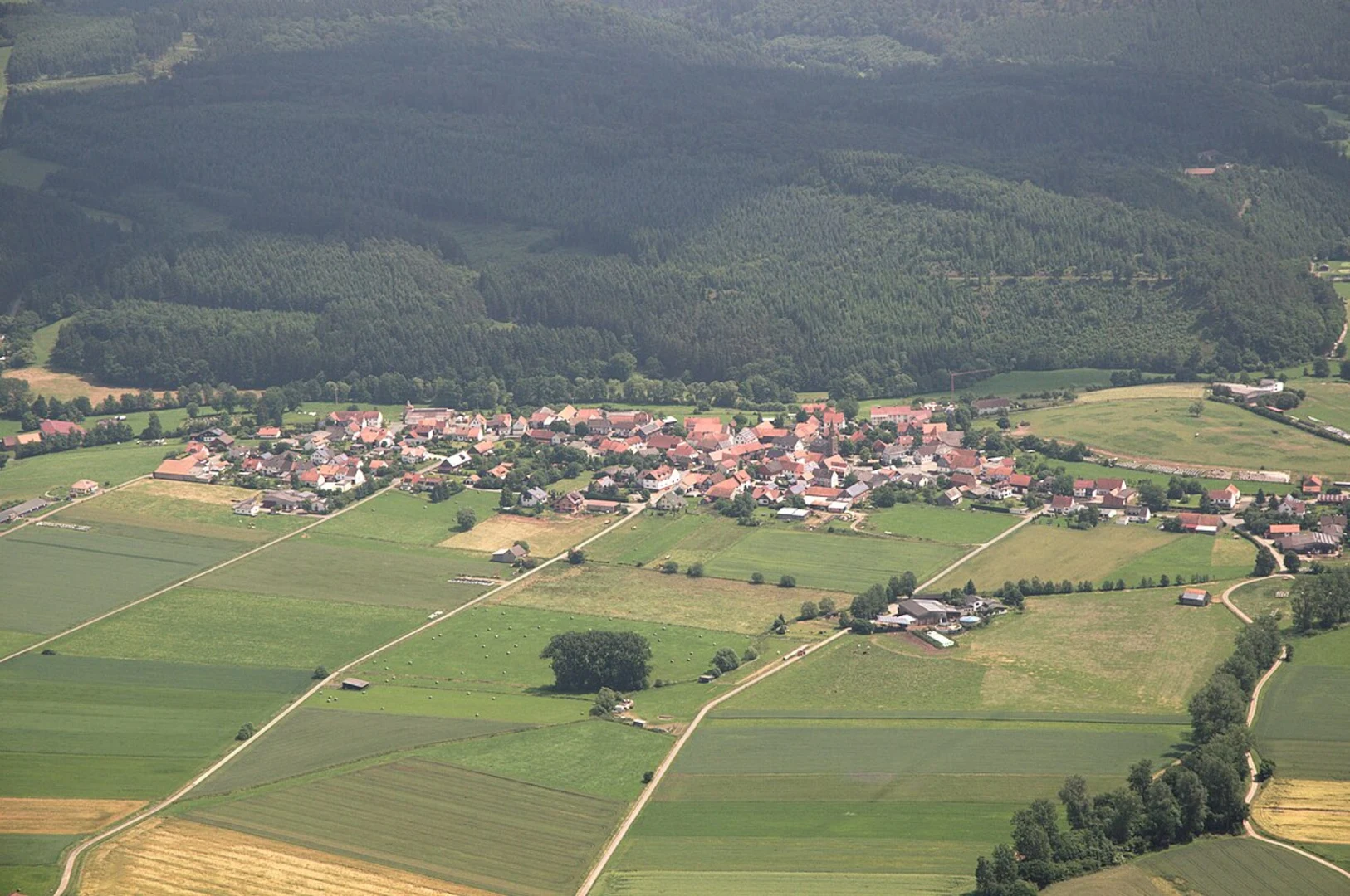 An image depicting the trail LIF Rosa Walk and its surrounding area.