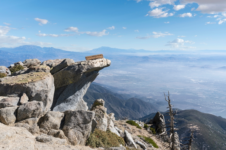 Cucamonga Peak to Icehouse Saddle Trail