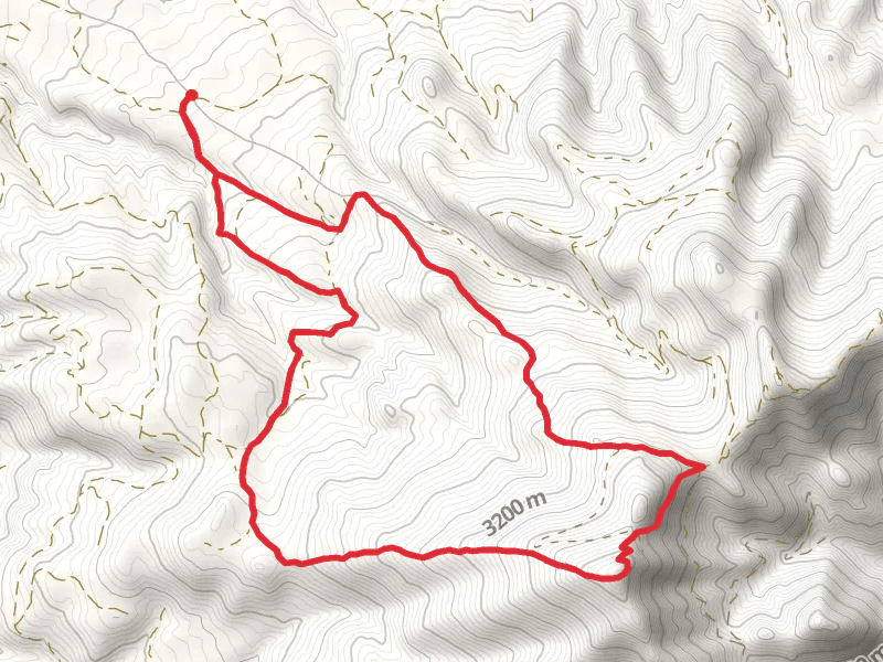 Mount Taylor Loop via CDT
