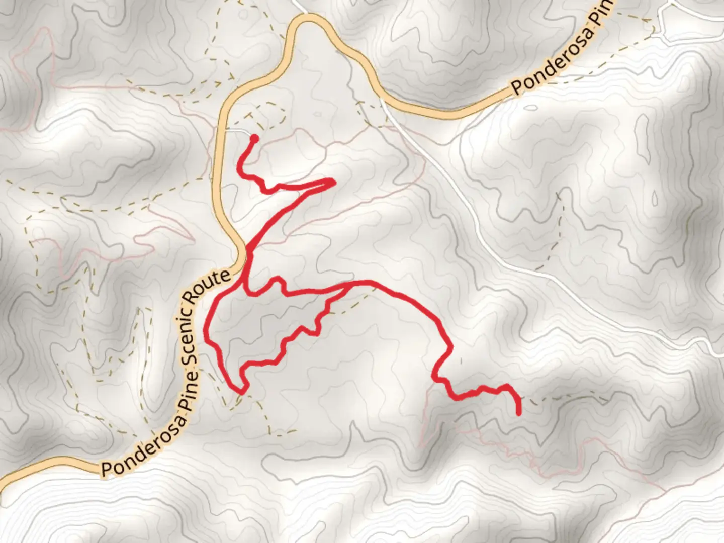 An image depicting the trail Pilgrim and Lower Lamar Trail A Loop and its surrounding area.