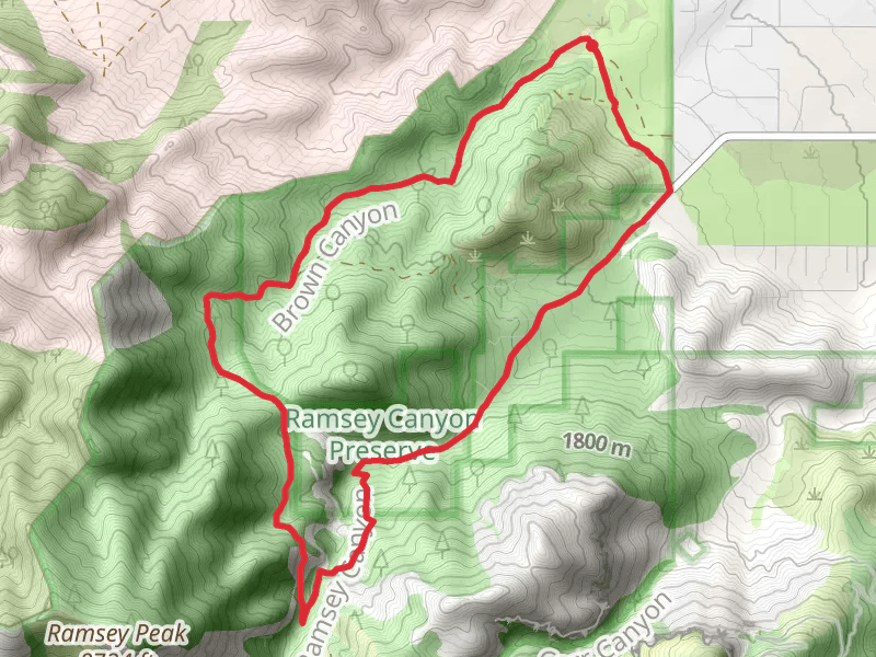 Brown Canyon and Ramsey Canyon Loop