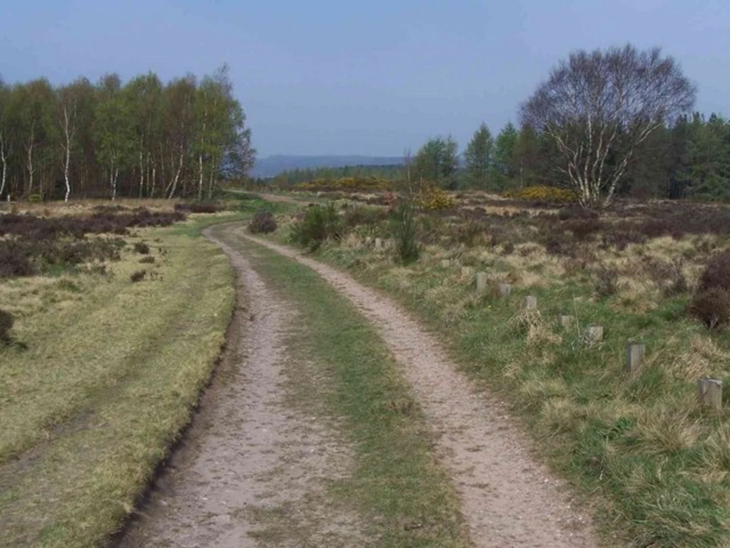 An image depicting the trail Rawnsley Hill, Cockpit Hill and Hednesdord Hills Loop and its surrounding area.