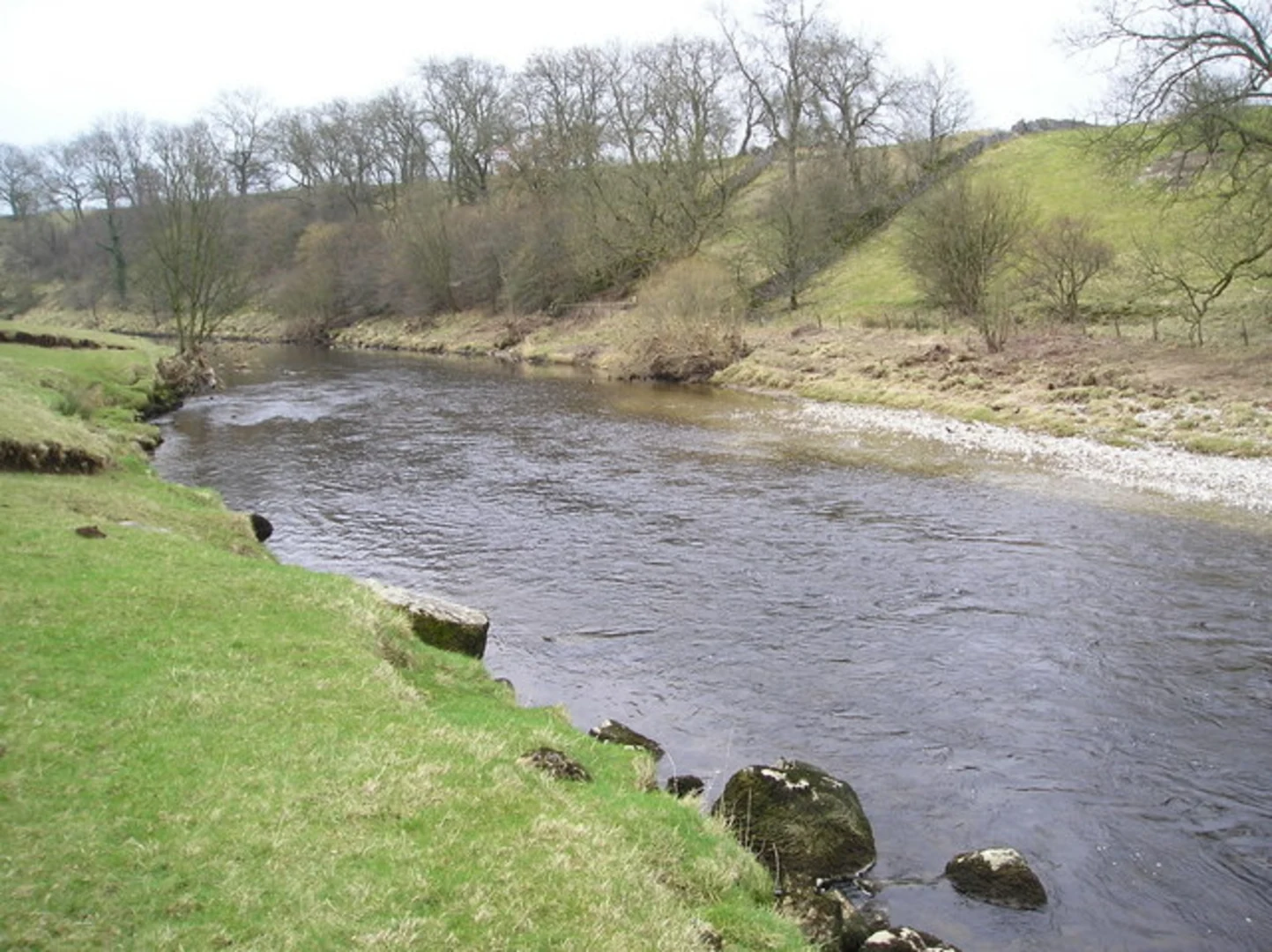 An image depicting the trail Grass Woods Walk and its surrounding area.