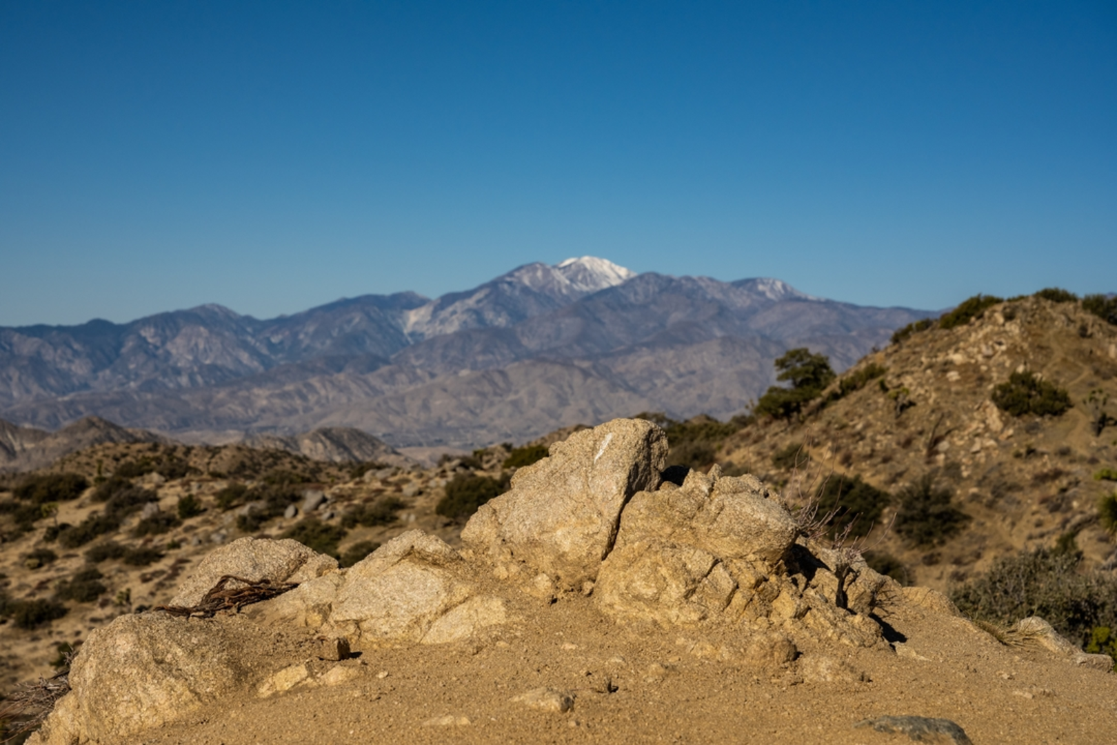 An image depicting the trail Raywood Flat Trail and its surrounding area.