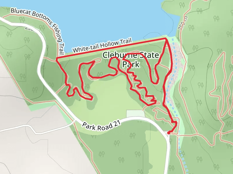 Cedar Lake South Shore Loop