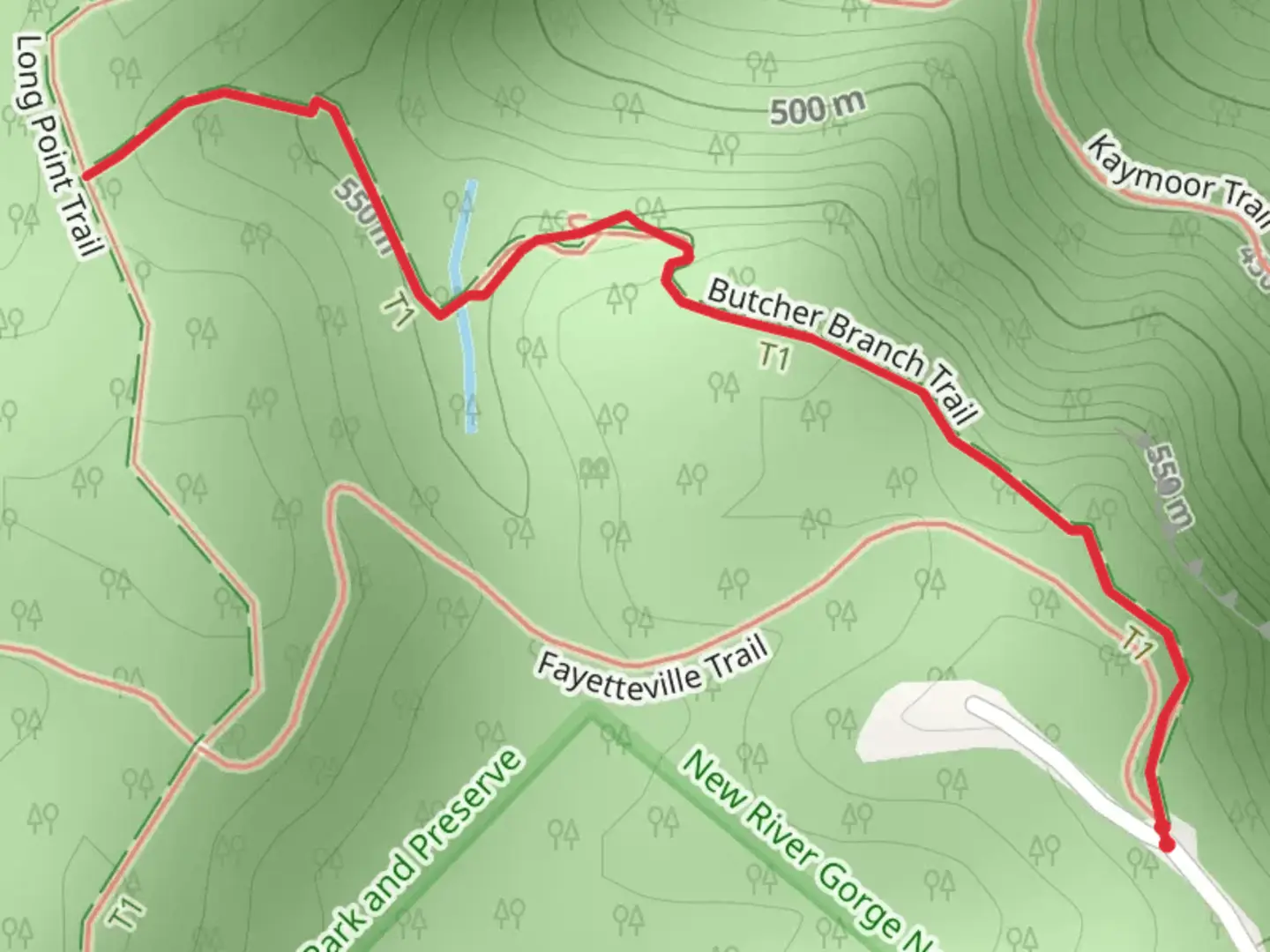 An image depicting the trail Butcher Branch Trail and its surrounding area.