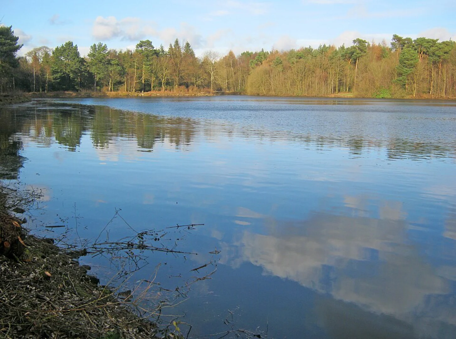 An image depicting the trail Emperor Lake and River Derwent and its surrounding area.