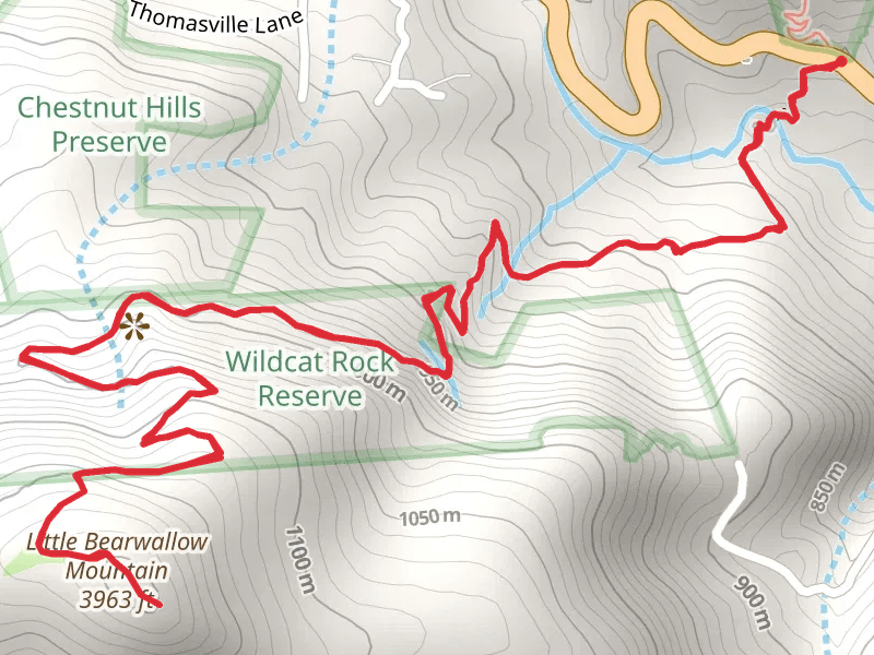 Little Bearwallow Mountain via Wildcat Rock Trail