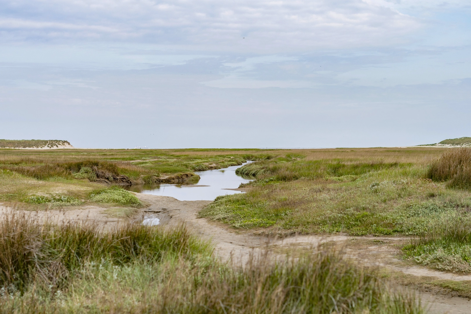 An image depicting the trail South and Prarie Trail and its surrounding area.