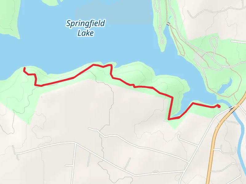 Springfield Lake - Baines Creek Trail Back