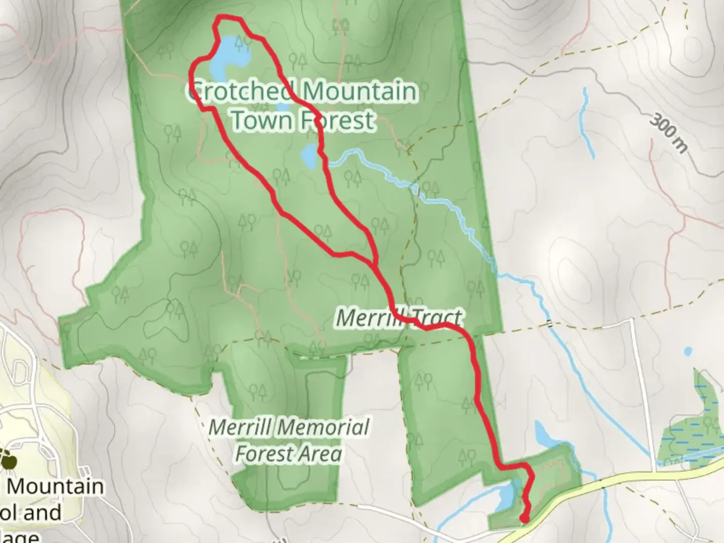 An image depicting the trail Town Forest Loop Trail and its surrounding area.