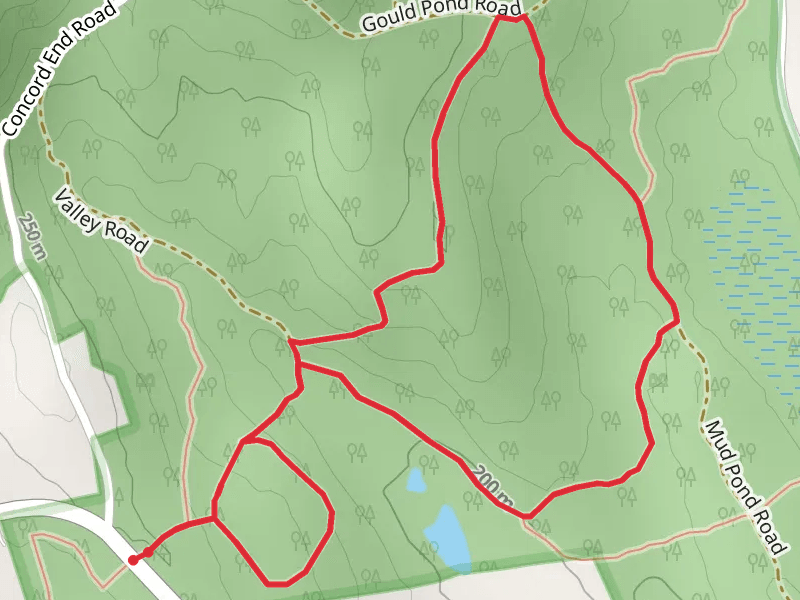 Gould Pond Loop Trail
