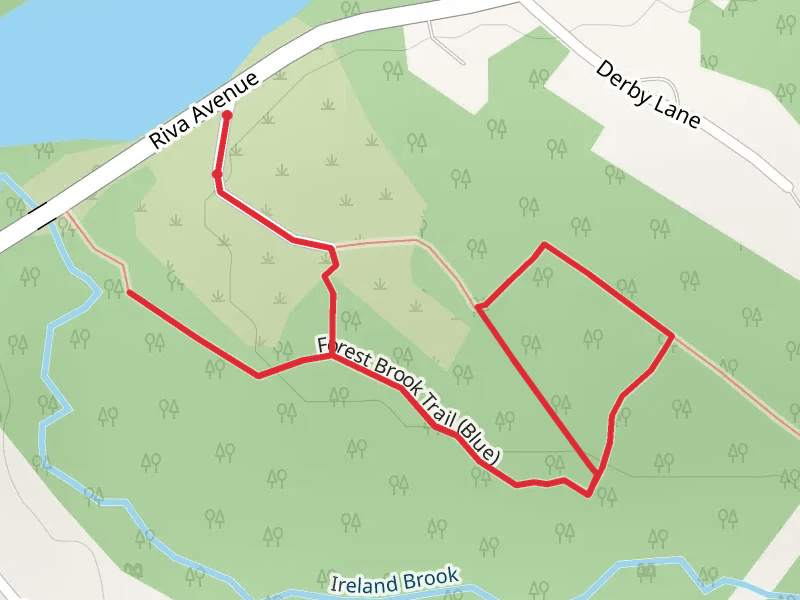 Forest Brook Trail - Blue Loop