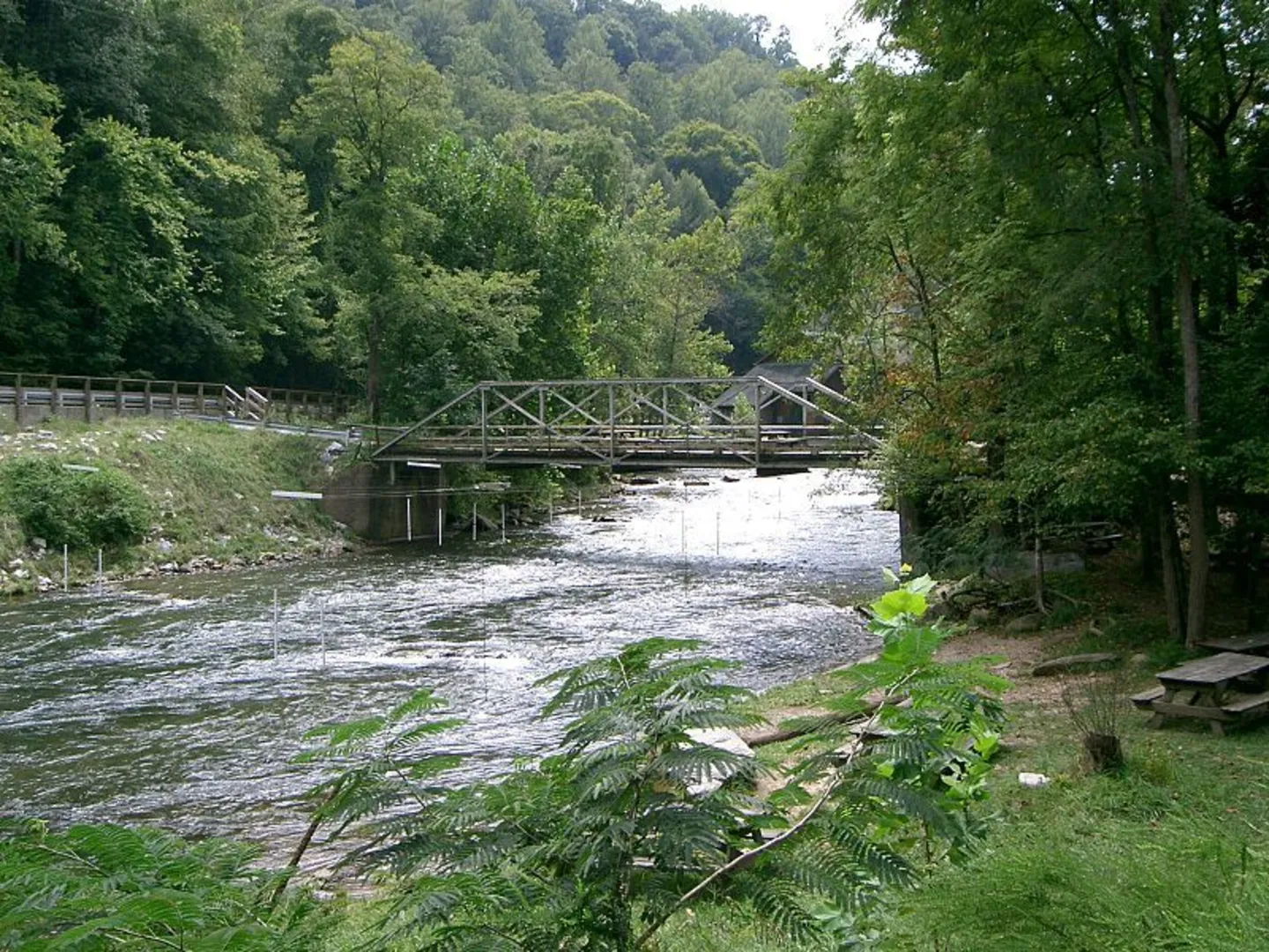 An image depicting the trail Laurel Branch Trail via Bartram Trail and its surrounding area.