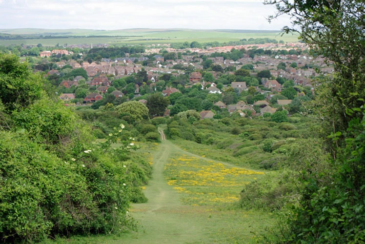 Seaford Head Nature Reserve Loop Walk