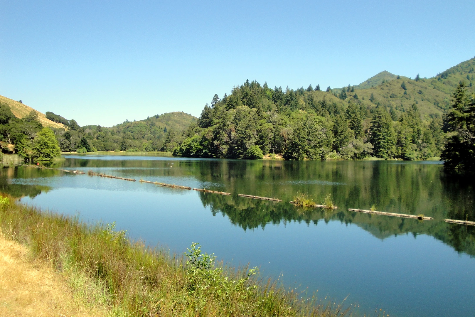 An image depicting the trail Tucker Cutoff and Pilot Knob Loop Trail and its surrounding area.