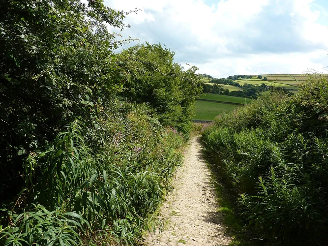 Billinge Hill Loop