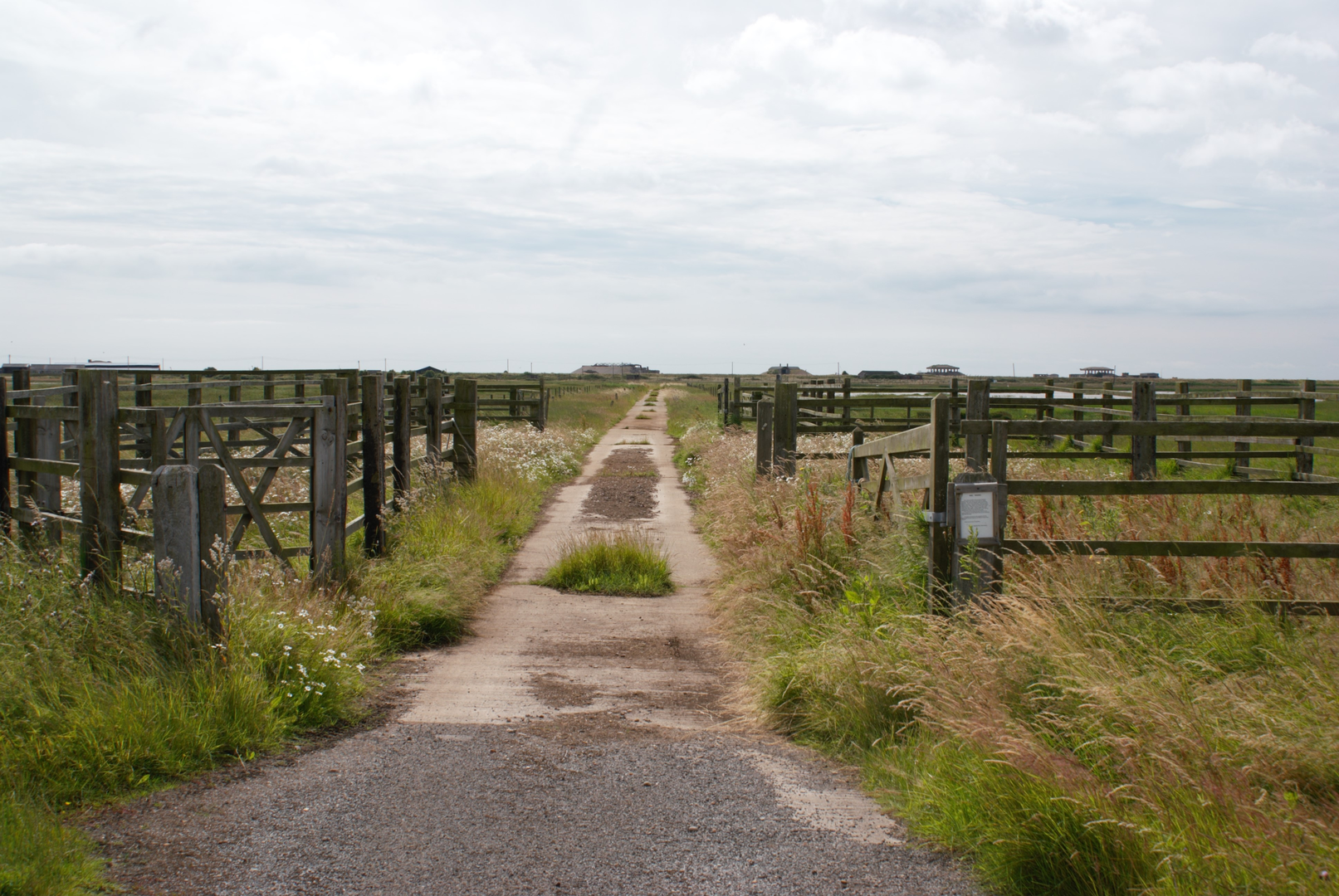 An image depicting the trail The Rivers Ore and Alde from Orford and its surrounding area.