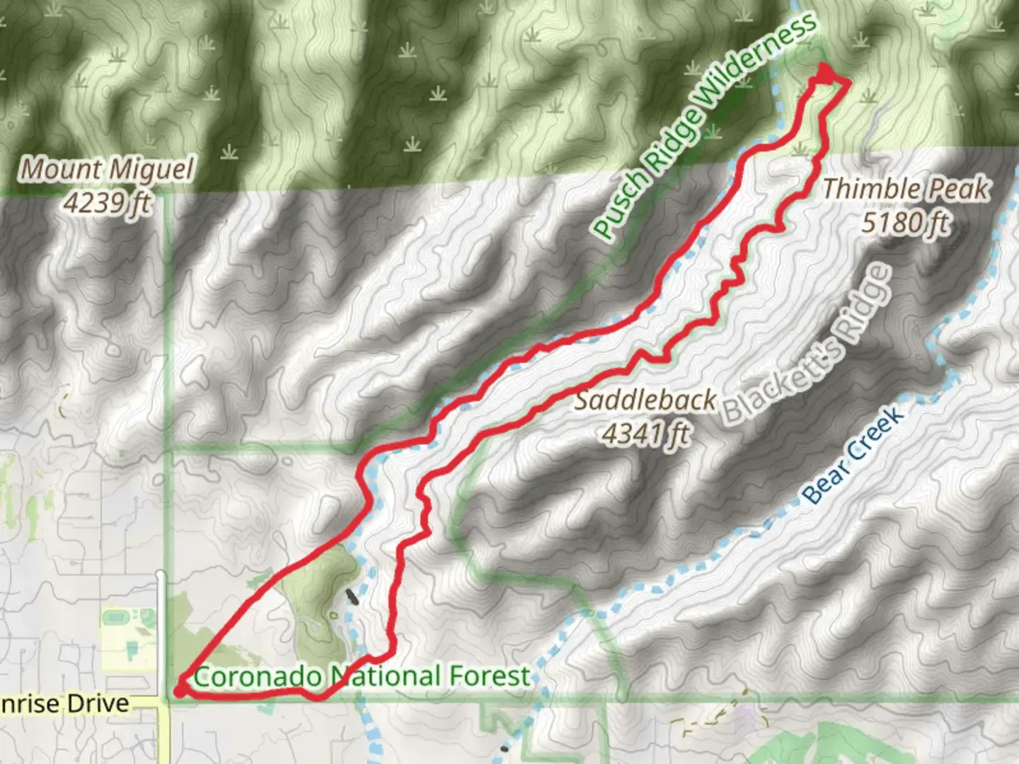 An image depicting the trail Sabino Creek Loop and its surrounding area.