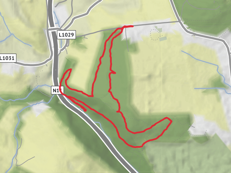 Hike on Glen of the Downs Loop thumbnail