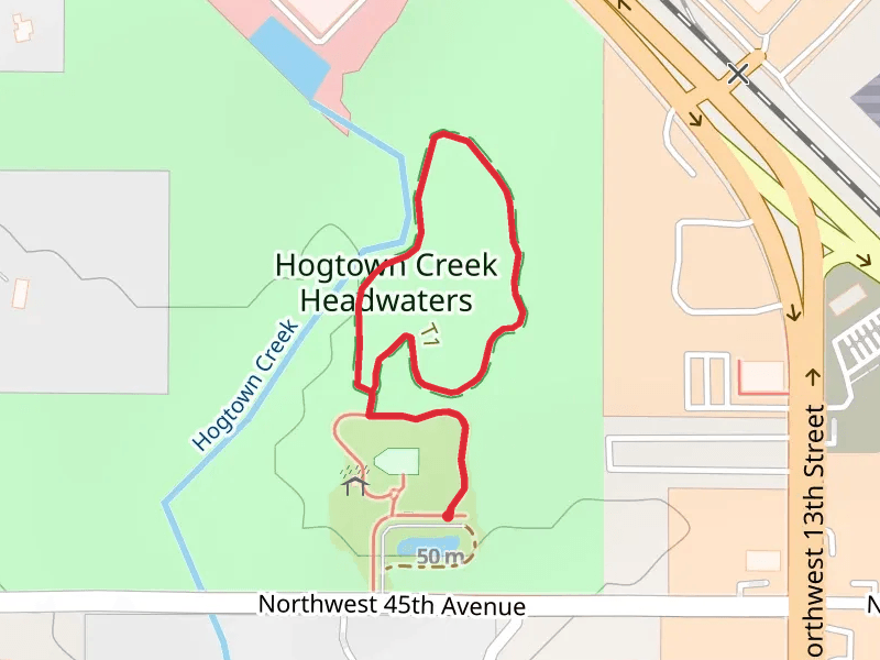 Hogtown Creek Headwaters Loop