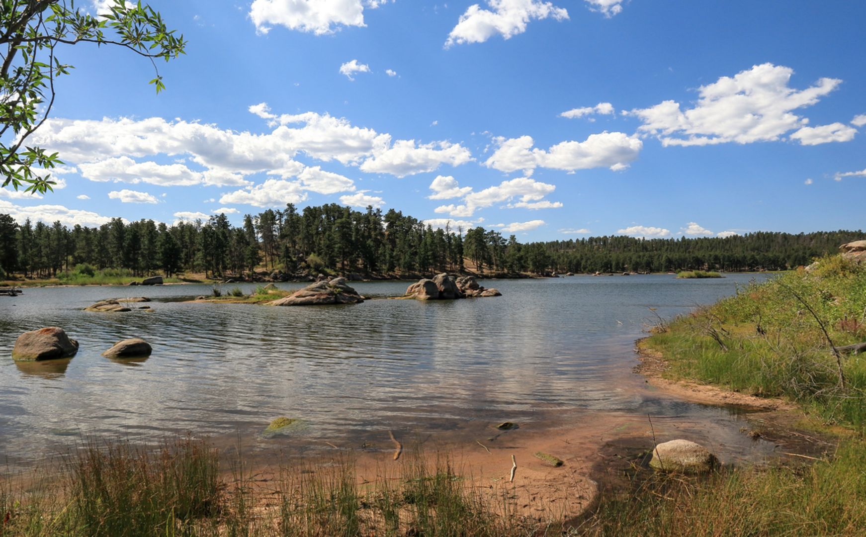 An image depicting the trail Frog Pond Trail and its surrounding area.