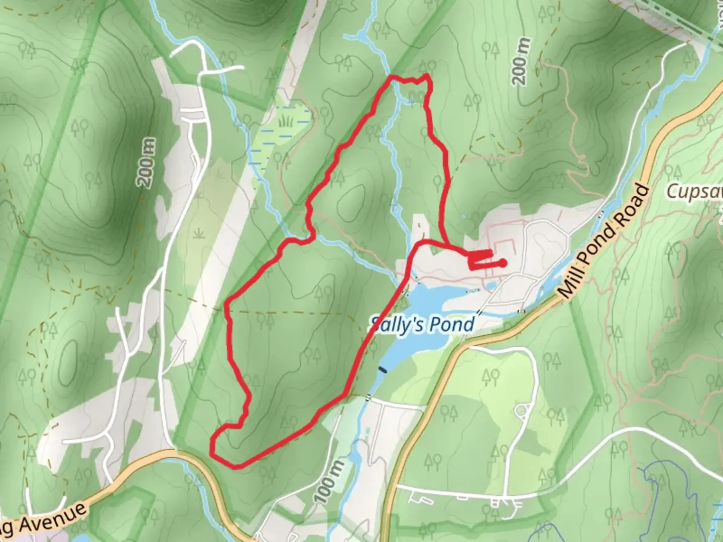 An image depicting the trail Ringwood Mill Pond - Manor Loop Trail and its surrounding area.