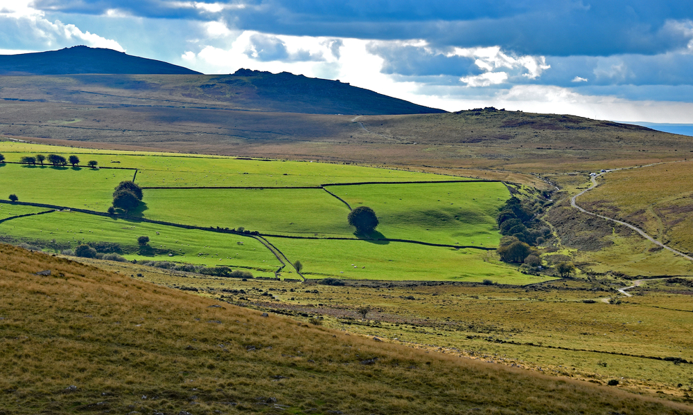 An image depicting the trail Dartmoor National Park and its surrounding area.