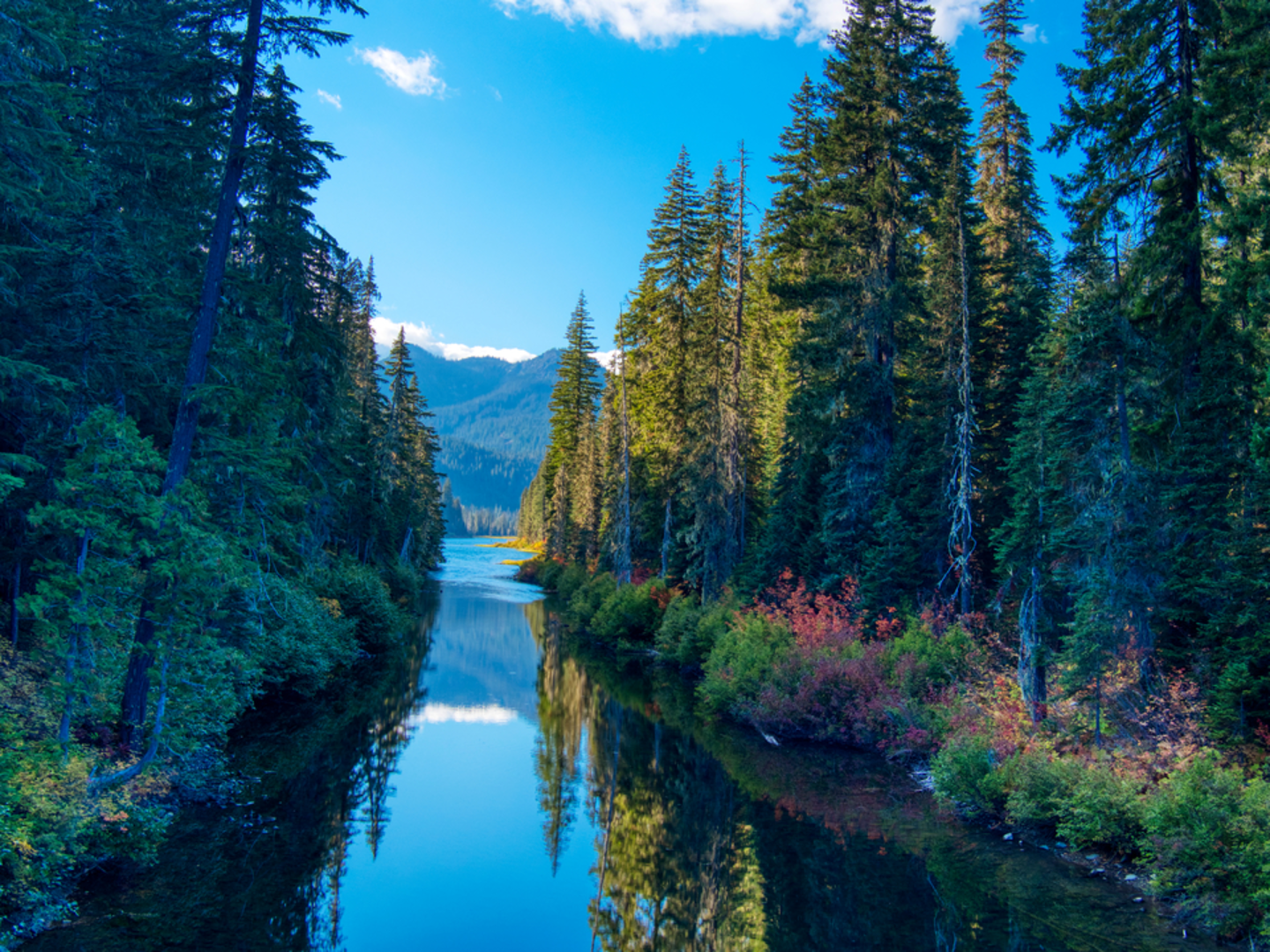 An image depicting the trail Owhi Campground Trail and its surrounding area.