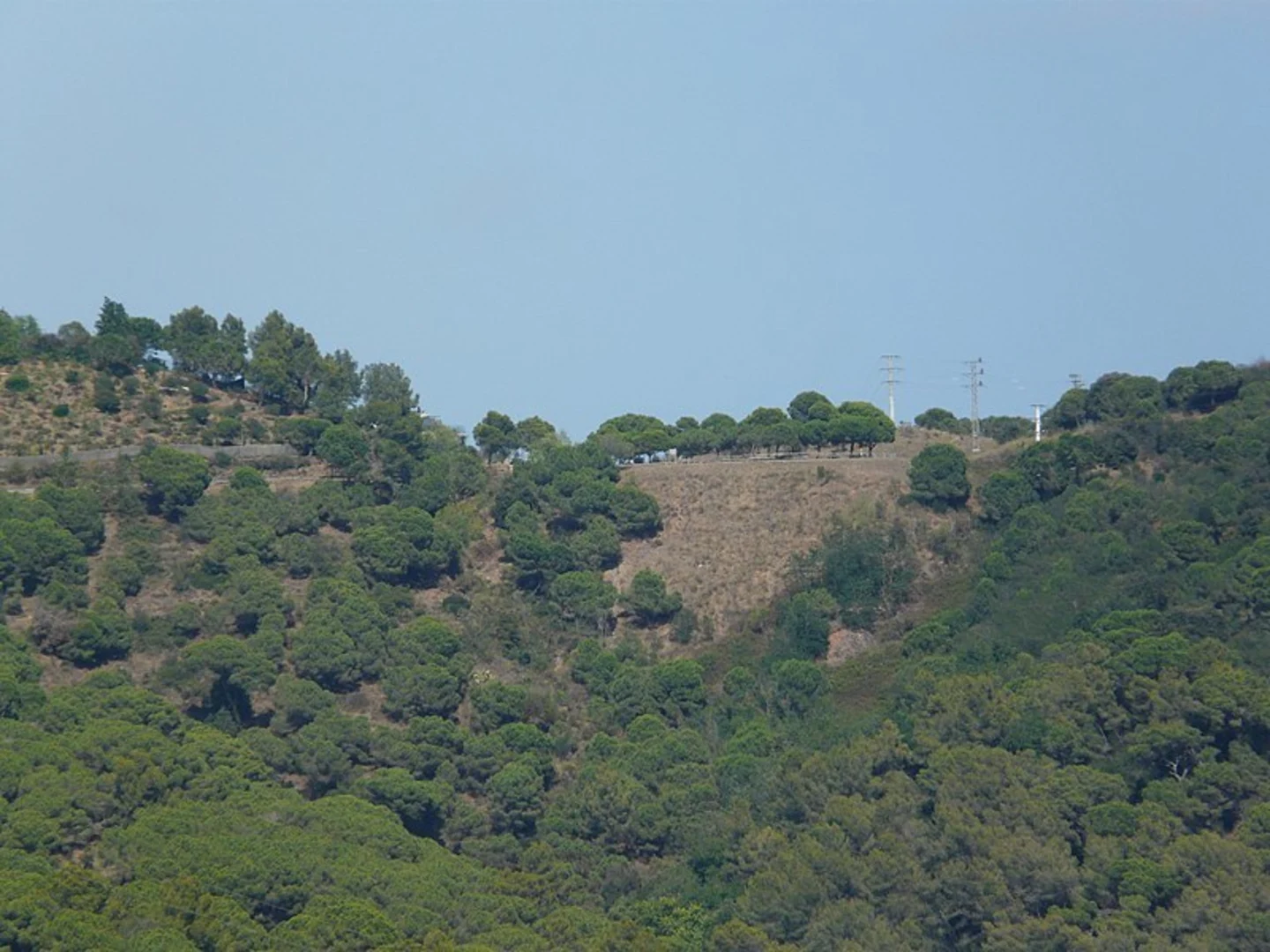 An image depicting the trail Sant Just Desvern PR C 164 and its surrounding area.