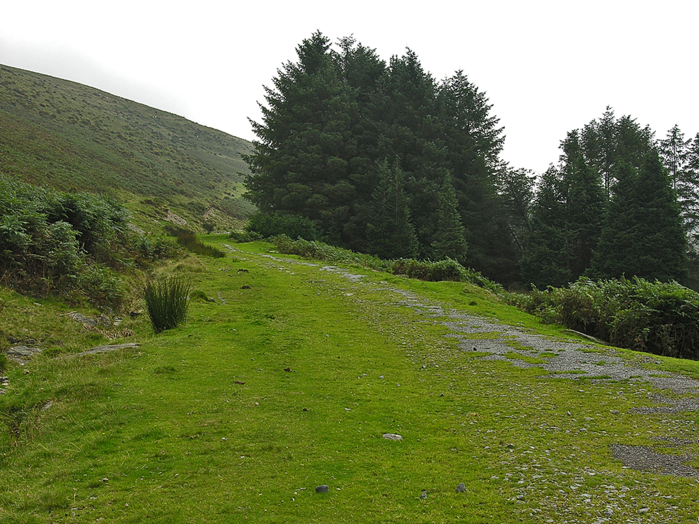 An image depicting the trail Gorllwyn Circuit - Elan Valley and its surrounding area.