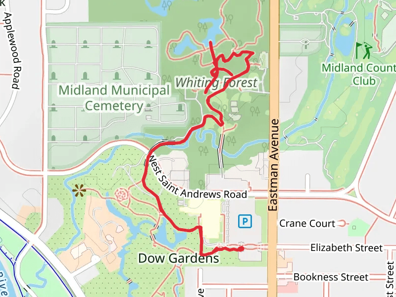 Canopy Walk Loop