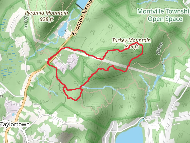 Yellow, Turkey Mountain and Orange Dot Loop Trail