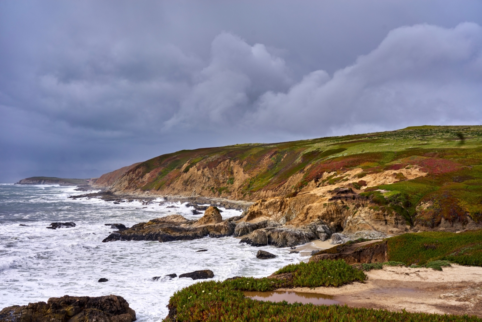 An image depicting the trail Bodega Head Loop Trail and its surrounding area.
