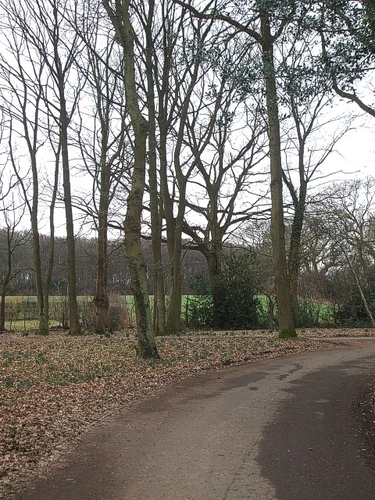 Widow Croft Loop