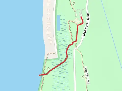 Overlook Trail