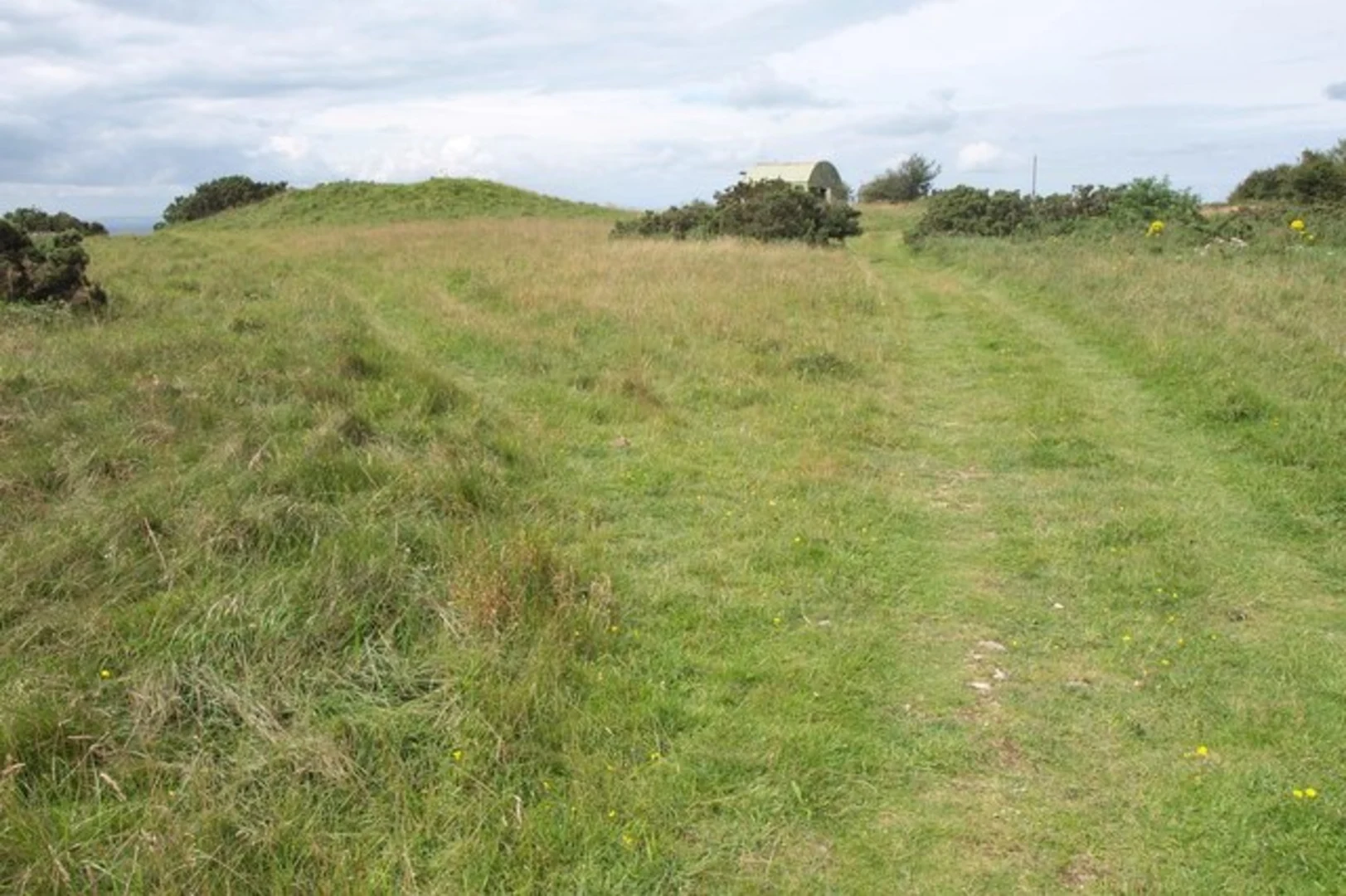 An image depicting the trail Minehead to Lynmouth Walk and its surrounding area.