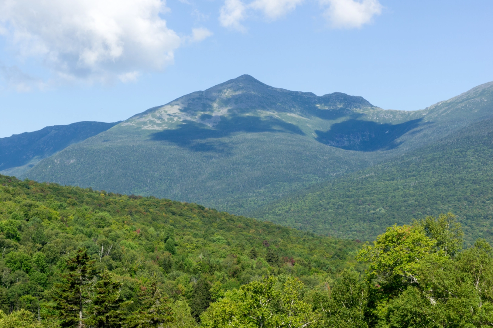 An image depicting the trail Old Jackson Road Trail and its surrounding area.