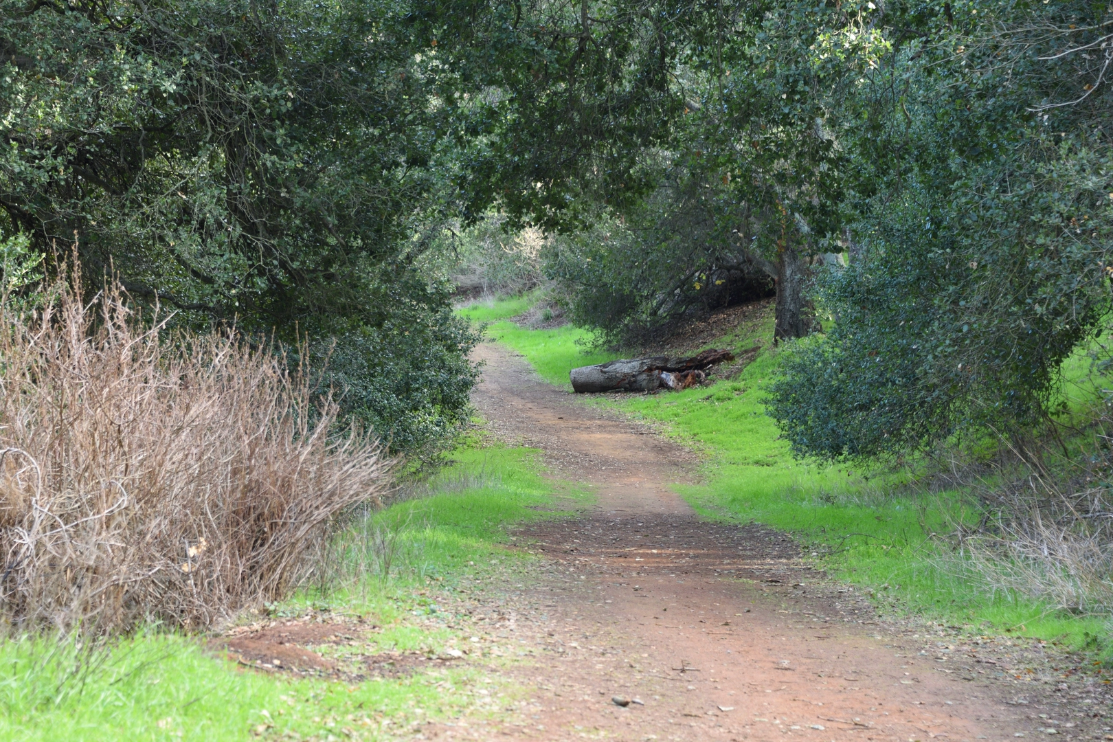 An image depicting the trail Rosendin Pond Loop and its surrounding area.