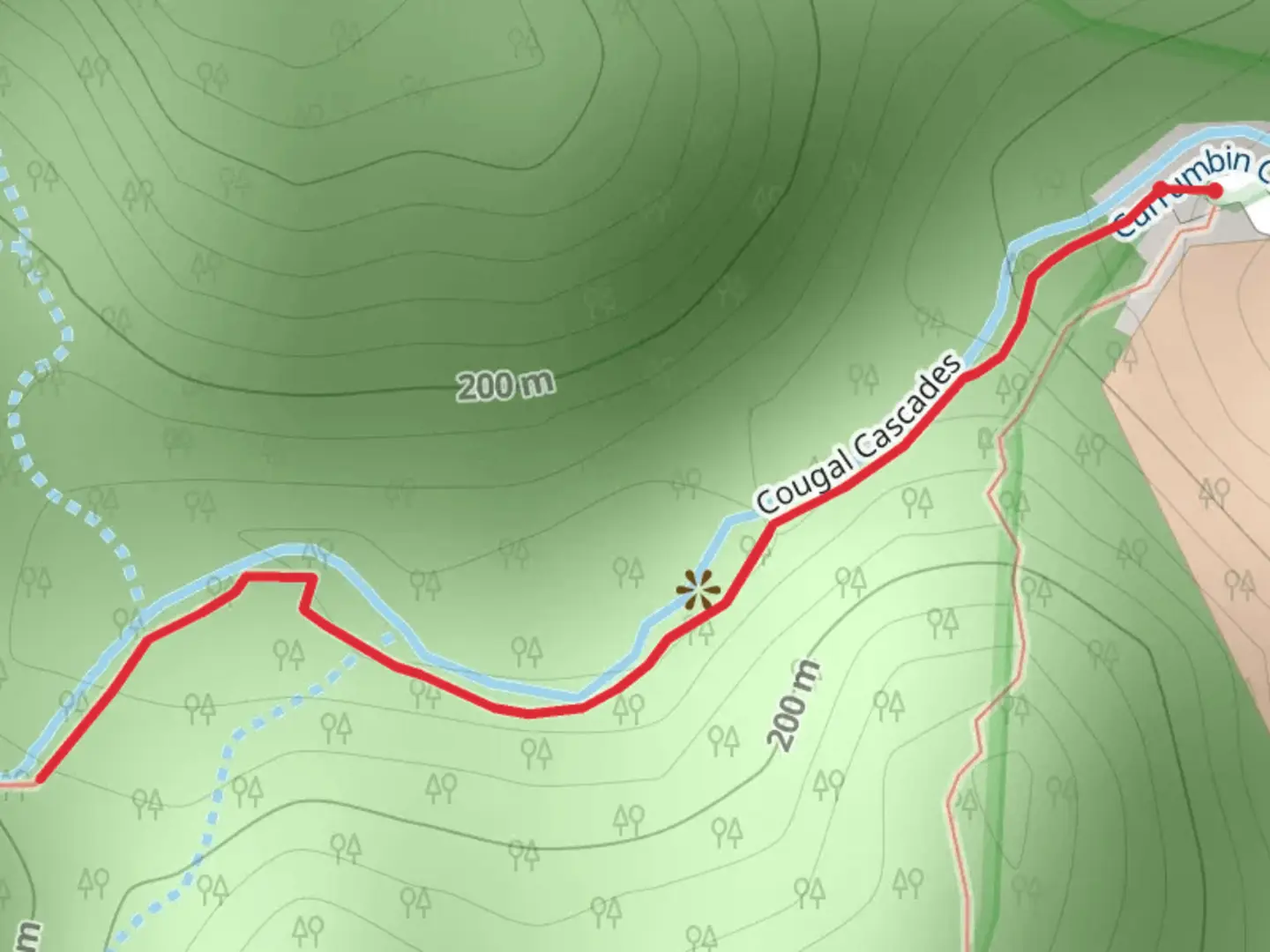 An image depicting the trail Cougal Cascades Track and its surrounding area.