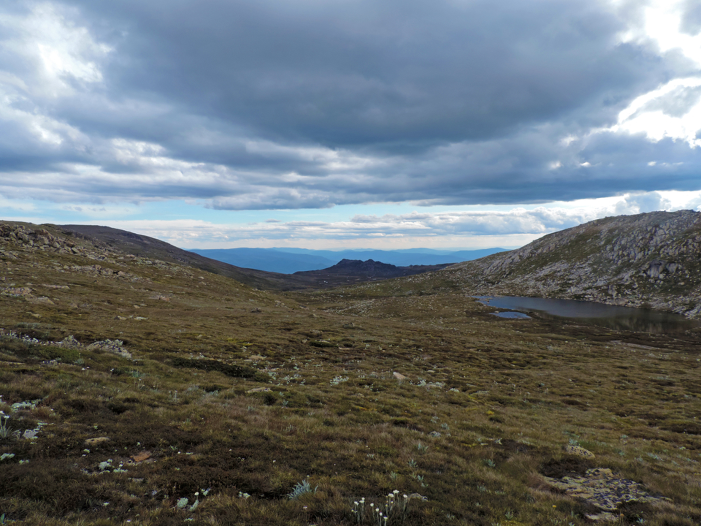 An image depicting the trail Hannels Spur Track and its surrounding area.