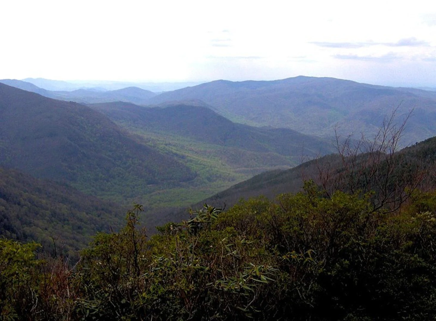 An image depicting the trail Sugarlands Valley Nature Trail and its surrounding area.