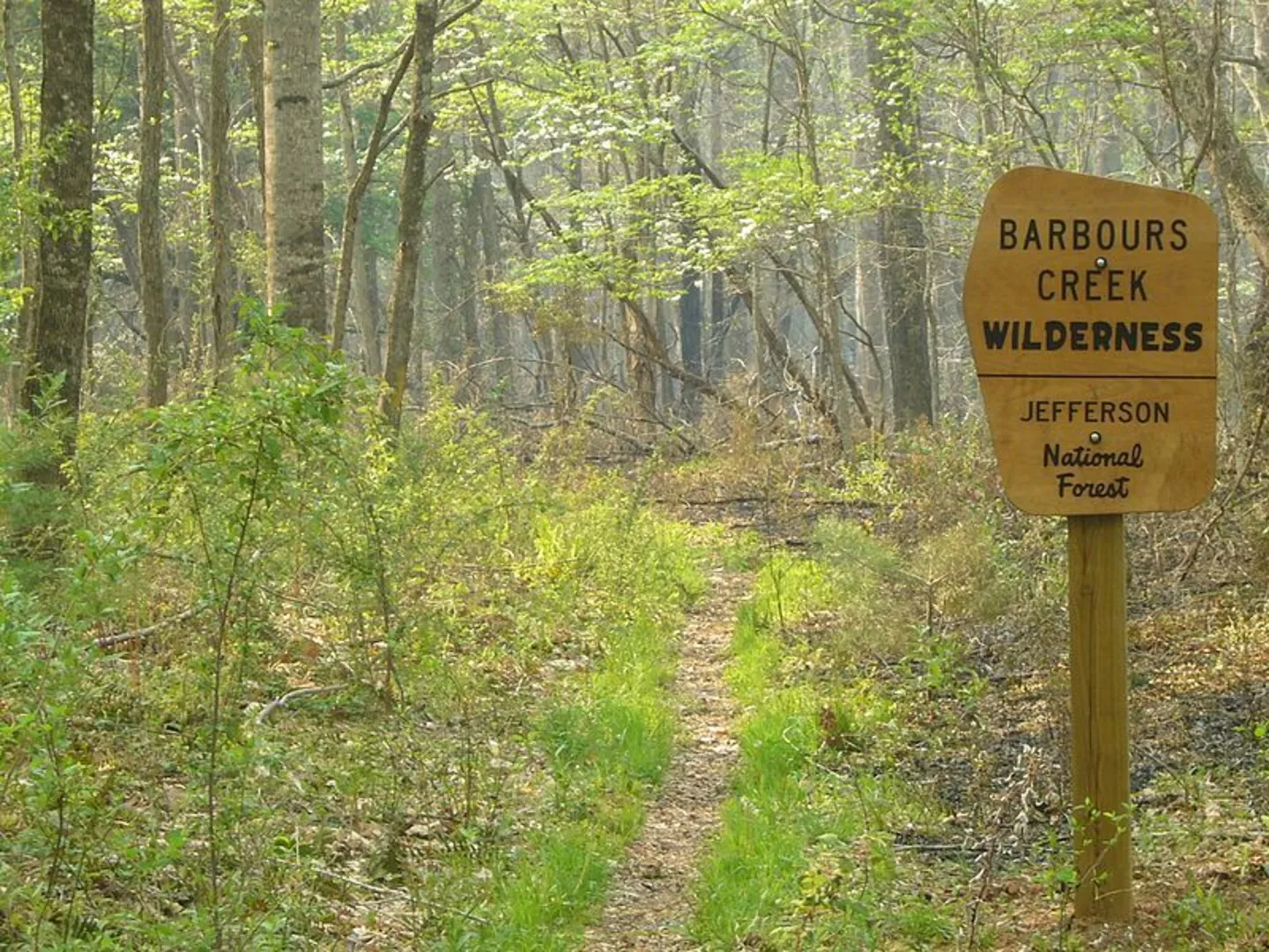 An image depicting the trail Lipes Branch Trail and its surrounding area.