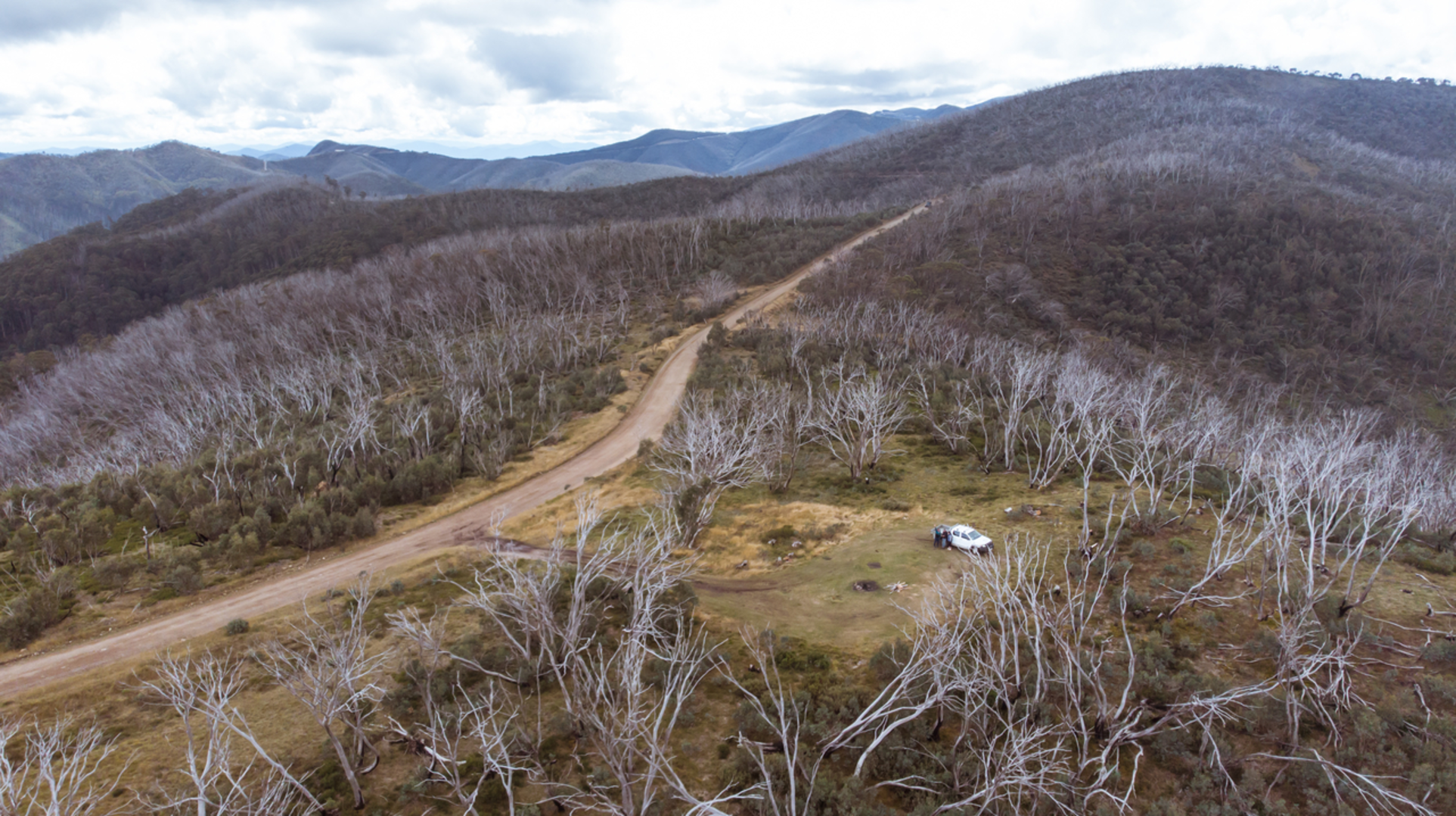 An image depicting the trail Cobungra Ditch Trail and its surrounding area.