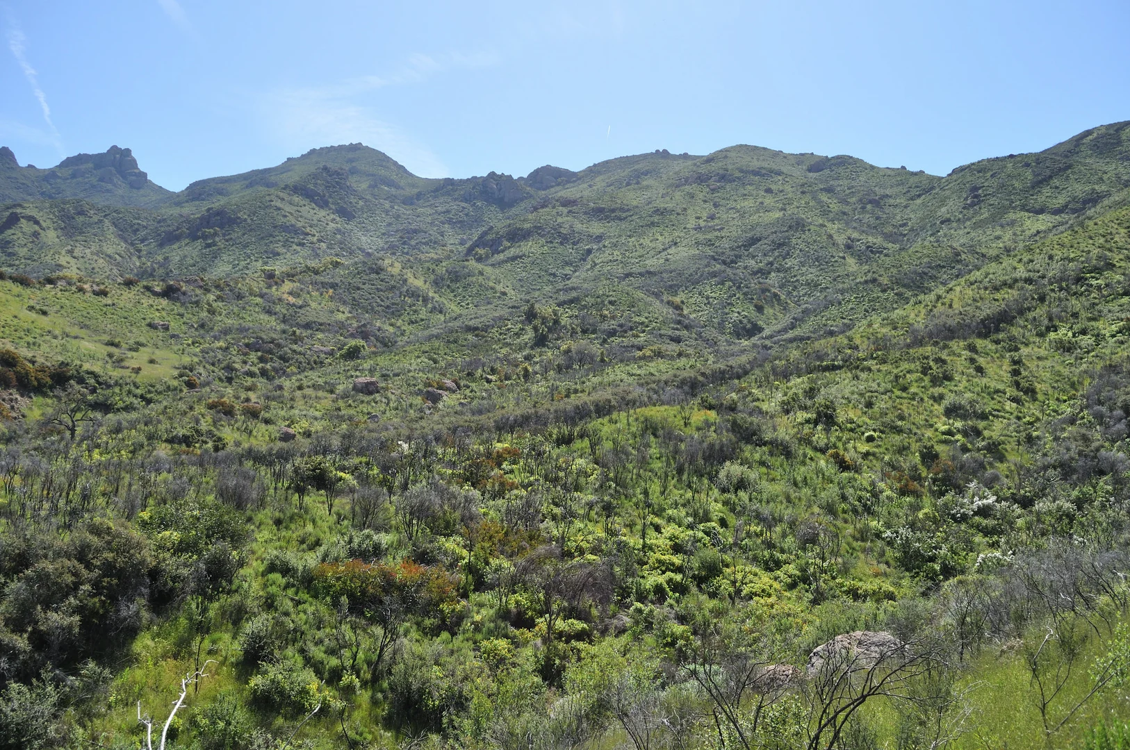An image depicting the trail Blue Canyon Trail and its surrounding area.