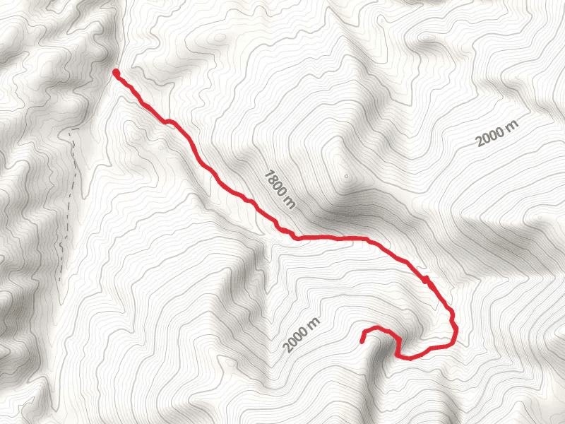 Casey Meadows Trail