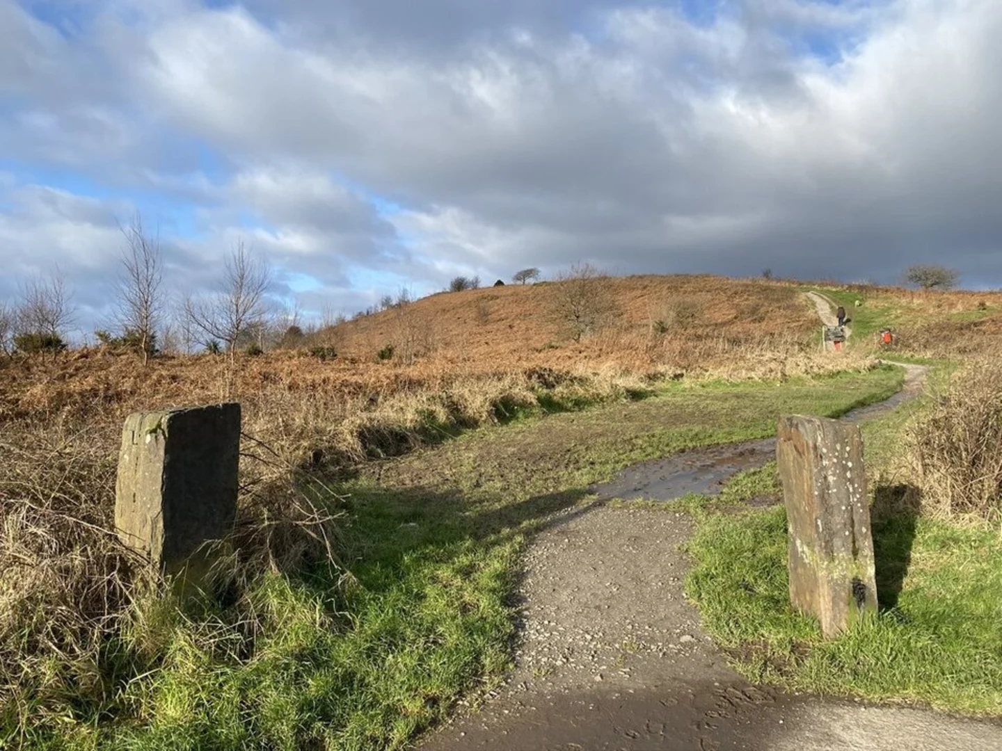 An image depicting the trail Caerphilly Mountain Loop and its surrounding area.