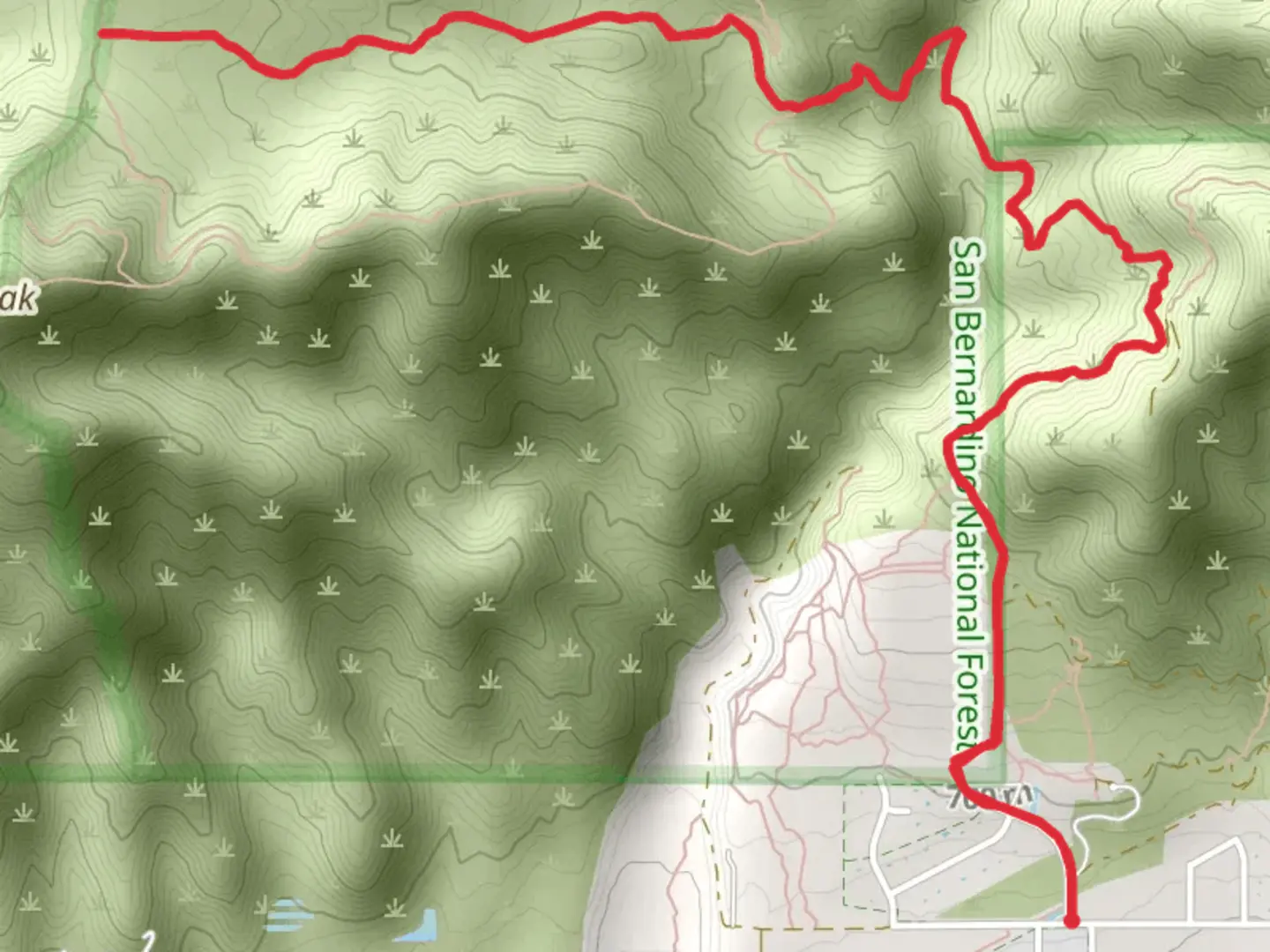 An image depicting the trail West Fork Cucamonga Road and its surrounding area.